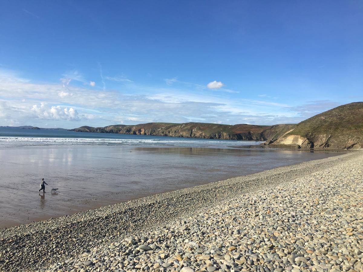 The Duke Of Edinburgh Inn Newgale Exteriör bild