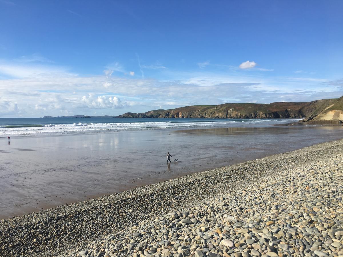 The Duke Of Edinburgh Inn Newgale Exteriör bild